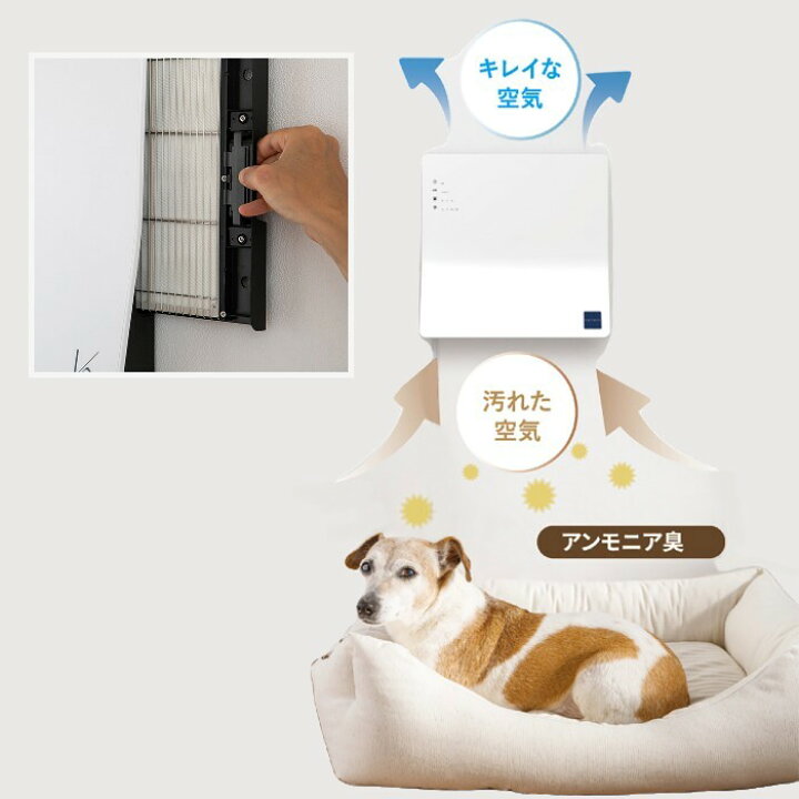 楽天市場】空気清浄機 カルテック ターンドケイ 除菌 脱臭 光触媒技術  