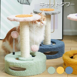 Lbg^[ ~j L^[ ܂Ƃ gȒP ]|h~ pXeJ[  t[fUC