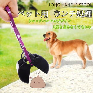 yBLACK FRIDAYԁEő2000~OFFzE`Lb`[ tLb`[ p[v sN CG[ u[ ybgXRbv N[XRbv gCXRbv ͂݃fUC 񂿎 U