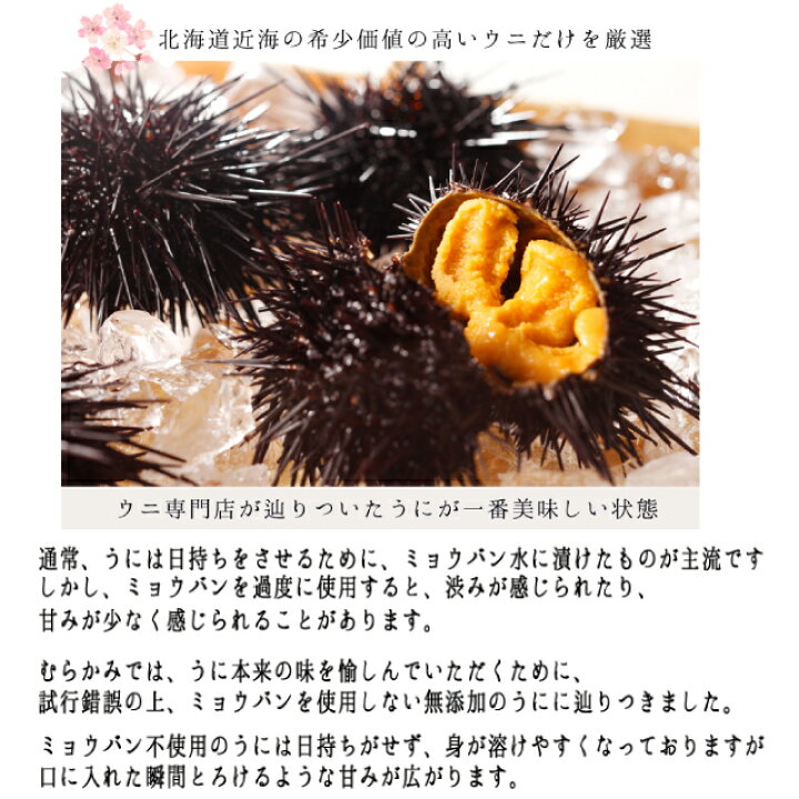 楽天市場 生うに塩水パック 80ｇ うに屋むらかみ