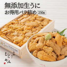 うに むらかみ うに専門店　【日付指定不可】無添加生うにお得用バラ詰め250g