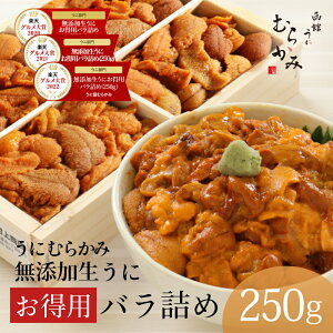 【3年連続グルメ大賞】無添加生うにお得用バラ詰め250g|訳ありでも美味しい 一番人気 北海道直送 うにむらかみ(うに屋むらかみ)うに丼・ご自宅用 ウニ 雲丹