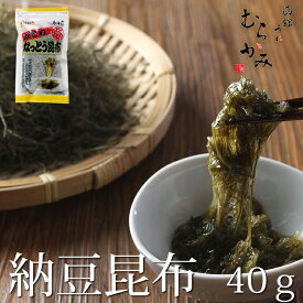 納豆昆布40g北海道産【常温品】
