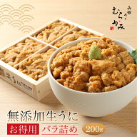 うに むらかみ 無添加生うにお得用バラ詰め200g【日付指定不可】【未冷凍】【2～3人前】【訳あり】【色・…