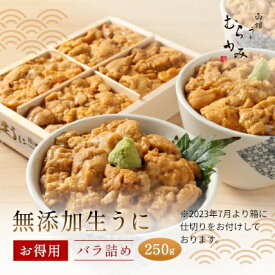 【楽天グルメ大賞受賞】無添加生うにお得用バラ詰め250g【日付指定不可】【3～4人前】【ミョウバン不使用】【訳あり】【色・形不揃い・無選別】【未冷凍】うに むらかみ ご自宅用　うに ウニ 北海道