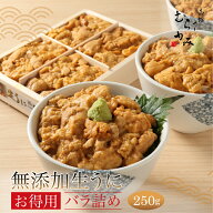 【3年連続グルメ大賞】無添加生うにお得用バラ詰め250g｜訳ありでも美味しい 一番人気 北海道直送 うにむ…