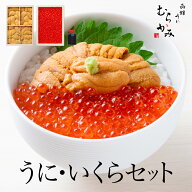 うに専門店うにむらかみ【贈答用人気No1】うに・いくらセット　【ミョウバン不使用・無添加生うに】【ご…