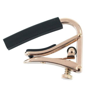 SHUBB C4g-rose CAPO ROYALE ROSE GOLD �G���L�M�^�[�p �J�|�^�X�g