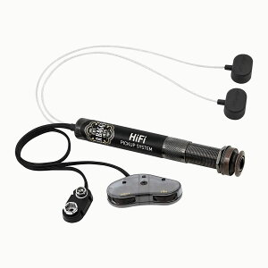L.R.Baggs HiFi �A�R�[�X�e�b�N�M�^�[�p�s�b�N�A�b�v
