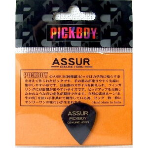 PICK BOY GP-AS/1 ASSUR ×2�� �A�V�����s�b�N