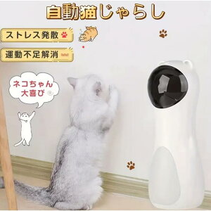 lŗVԔLeB[U[dCLߋ Lybgpi Lߋ Lߋ ybgpi ^s XgX pAdrsv