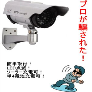 _~[J \[[ Op hƃJ Op _~[hƃJ LED_ dr ĎJ sR҂Њd ꏊ ԏ  W