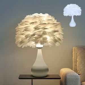 AAAZM fXNCg  k LEDΉ Pn Hъ} ドCg H  CeAƖ iCgCg xbh[  rO xbhCg Ɩ e[uv RZ