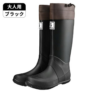 Cu[c C Y fB[X LbY JC j̎q ̎q qp WjA CV[Y В^ ɂ Sh ܂ ɂ CObY J ₷ ʊw