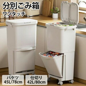 �y2025�V�����z�S�~�� 2�i �S�~�� 45L �ӂ��t�� �����^�b�` 45���b�g�� ���� �S�~�� �X���� �傫�� ���r���O �L�b�`�� �_�X�g�{�b�N�X �L���X�^�[�t�� �W ���J�� �ЊJ�� ���� �ӂ��� ������� 