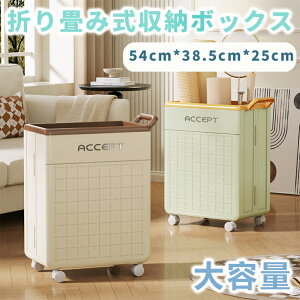 �܂肽���ݎ����[�{�b�N�X �X�|�[�c �����h���[�o�X�P�b�g ���󂩂� ��e�� �� �X���� �ړ��� ��e�� ���� �L���X�^�[�t ���[ �܂肽���� �����h���[���[ �ȃX�y�[�X �y�� ������t�� �V