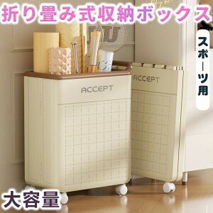 �܂肽���ݎ����[�{�b�N�X �X�|�[�c �����h���[�o�X�P�b�g ���󂩂� ��e�� �� �X���� �ړ��� ��e�� ���� �L���X�^�[�t ���[ �܂肽���� �����h���[���[ �ȃX�y�[�X �y�� ������t�� �V