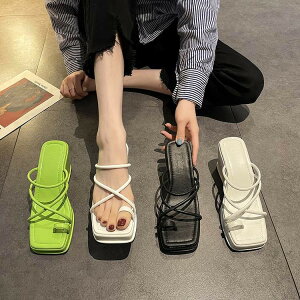 lp Vv fB[X C  JWA  8cmq[     ꂢ t ʋ rWlX v[g