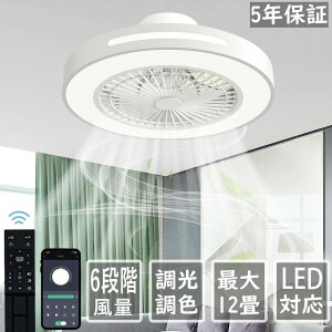 y5Nۏ؁zLEDFV[Ot@Cg ^ k Rt VƖ  ȃGl 8Ή Hsv V[OCg @t 46~60cm