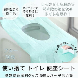 ĝĕ֍V[g ȂŒV[t 50 傫40×60cm hΉ sOo LbY p gCΉ