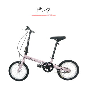 ܂肽ݎ] 16C` a OD tgtN^[ F ʋ ʊw jp v[g Mtg