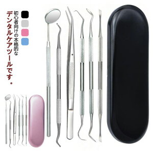 Ύ XeX f^c[ p Zbg C Hׂ΍ \h oPA 6_Zbg 