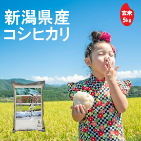 【価格見直しました！】(株)ちやざわS・C 千谷沢産コシヒカリ 玄米 5kg　新潟県コシヒカリ 令和7年産