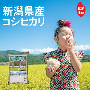 ちやざわ生産組合 千谷沢産コシヒカリ 玄米 5kg 新潟県コシヒカリ 令和7年産