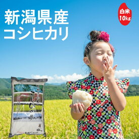 【価格見直しました！】(株)ちやざわS・C 千谷沢産コシヒカリ 白米 10kg 新潟県 コシヒカリ 令和7年産 棚田米