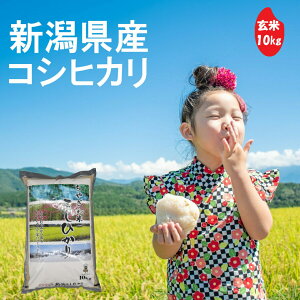 ちやざわ生産組合 千谷沢産コシヒカリ 玄米 10kg 新潟県 コシヒカリ 令和7年産 棚田米
