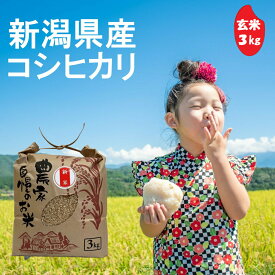 【価格見直しました！】(株)ちやざわS・C 千谷沢産コシヒカリ 玄米 3kg　新潟県コシヒカリ 令和7年産
