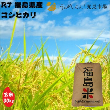 楽天市場】【送料無料】令和7年産 新米【玄米】 岩手県花巻産 