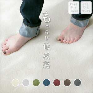 O ~` ᔽ  a140cm a200cm O}bg I[V[Y ɌE^20mm ~ߕt RۖhL h_j Չ 􂦂