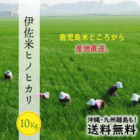 楽天市場 米 10kg うのきの通販