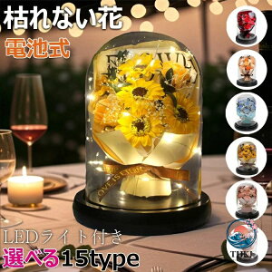 �͂�Ȃ��� �o�� �v���[���g �h�V�̓� ���� �o�� �K�N �t�����[�M�t�g �\�[�v�t�����[ �� �ԑ� ��̓� LED ���C�g�t�� �d�r�� �i���̈� ���ӂ̋C�� ���j�� �a���� �o�����^�C���f�[ �N���X�}