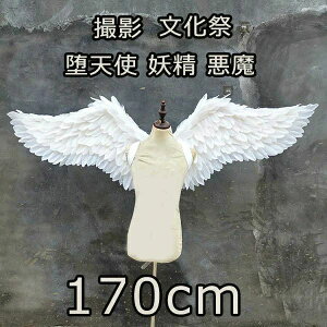t@ ߑ   d Vg Vg݂ GWF 170cm ECO tFU[ wing  RXvH nEB ̉H