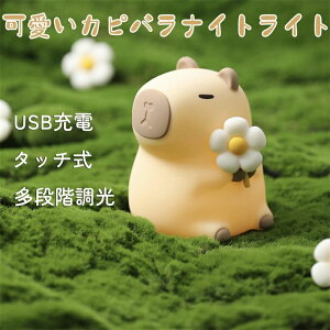 Cg iCgCg Jso [Cg xbhTChv 킢 Ɩ  Cg Q Cg VRCg ^b`