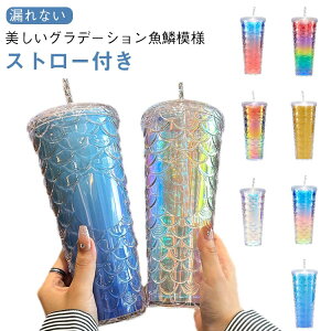 Of[V Xg[t g  Xg[ Jo[ P[X 1bg R[q[Jbv e AEghA ʊw Jt  Mtg  ʋ