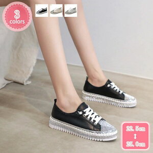 r JWAV[Y fbLV[Y   CXg[ [XAbv RtH[g fB[X Xj[J[