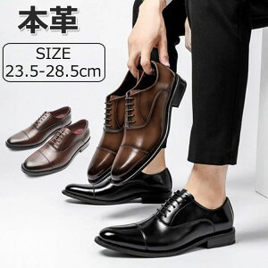 23.5cm-28.5cm ʋ Ep U[ amC  w VЉl A N[g amC X[c  hXV[Y ₷  tH[} 傫TCY TCY u