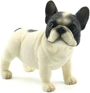   u u A H|i     킢CeA   Ƃ̑  蕨 ItBX K[f  X^C2 O 7 x 4 x 8.