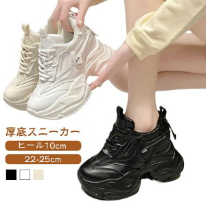 yԌ2_w300~OFFIzq[10cm  Xj[J[ C ^C V[Y Cq[ _bhXj[J[ fB[X IVXj[J[ [Jbg [XA Vv EH[L