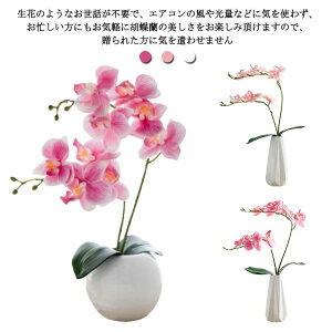  J@j JX v[g sN  STCY  A[gt[ j 2{ G}  Ӓ