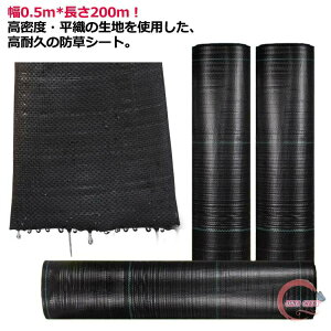 hV[g 0.5*200m x  V[g _pV[g UVܓ ϗpN 7-12N 悯V[g F G΍ Gh~  lHŉ  | K[fjO  G Ő Gh~ 