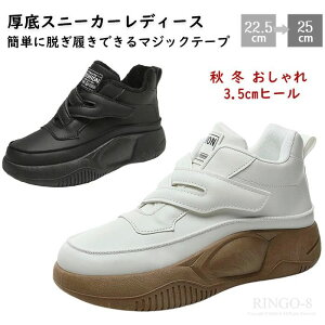  Xj[J[ fB[X Xj[J[ Xb| Xj[J[ nCJbgXj[J[ O C EH[LOV[Y ʋC y ~ ₷  ꂢ Xj[J