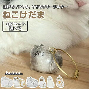 Lыʓ Lю[{bNX ыʗe g ˂ ыʓ  gуXbp gуP[X gуXgbv 6 L L̖уL[z_[  ybgPApi ybgSf 