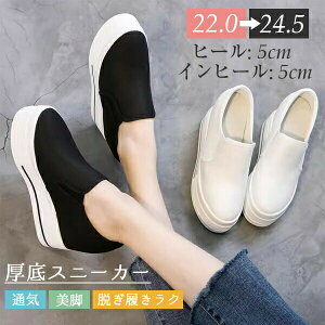 ɂȂ ₷ r ɂ Xj[J[ Cq[ 5cm  TCY 傫TCY [t@[  fB[X Xb| ʋC C EN  Xj[J[ fB