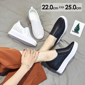 fB[XV[Y Xj[J[ C Xb| ɂȂ ₷ RȂXj[J[ EH[LO JWA jOV[Y Cq[Xj[J[ nCJbg V[Y fB[X