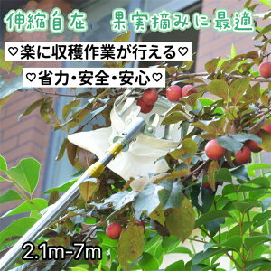 yN[|ő1000~OFFzt[csbJ[ ʕ }؂΂ Lk } sbLOc[ ʕLb`[ y x[sbJ[ ʎpt[csbJ[ ʕn }p |