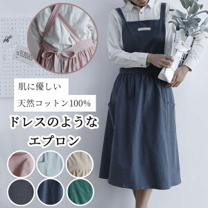 Gv fB[X  킢 k hXGv KB GvhX B s[X 傫 邾 JtF   hX^Cv n Vv ۈm